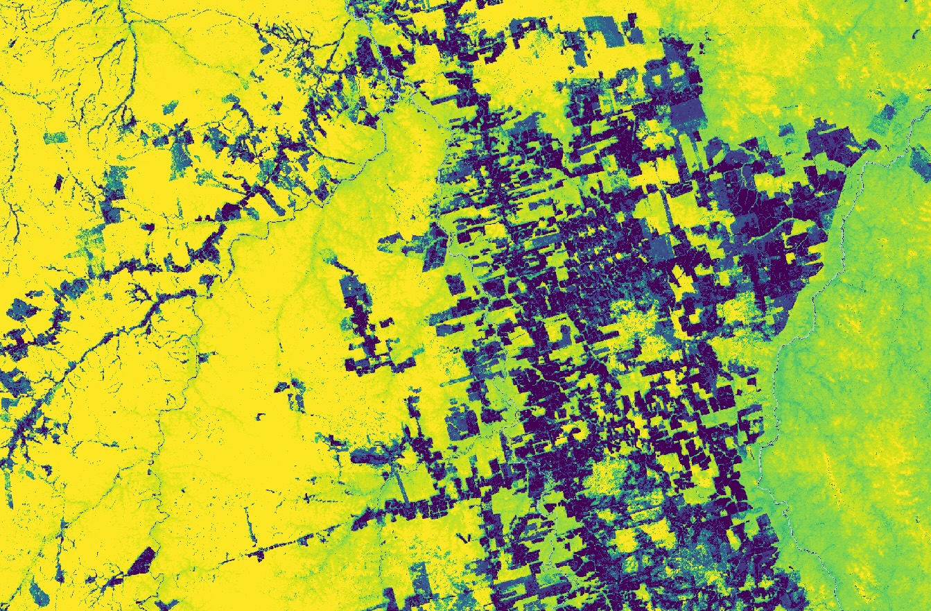 Aboveground Carbon Density Example