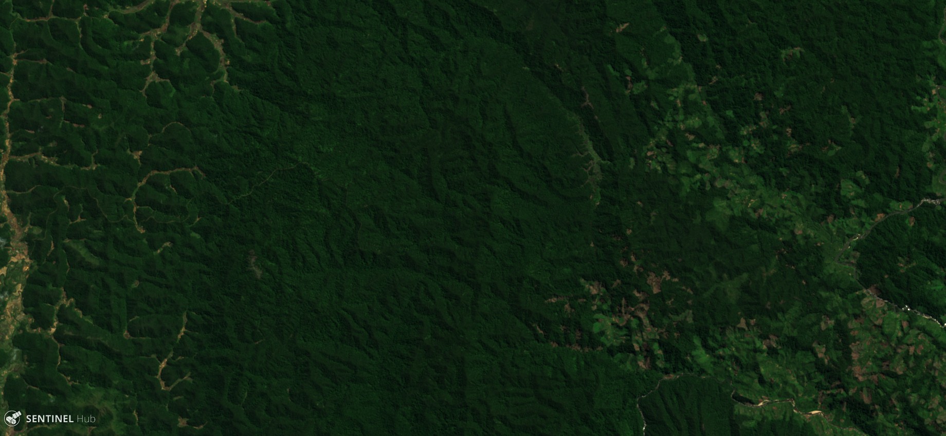 Forest Cut Temporal Detection script over Madagascar forest in 2017