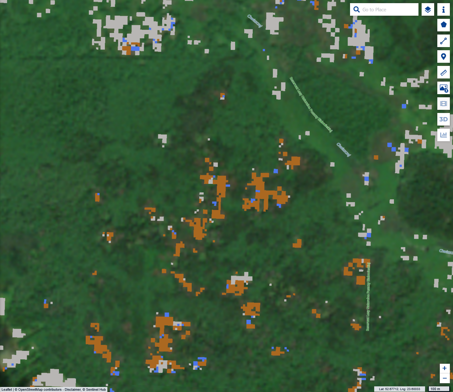 'Bark Beetle classified'