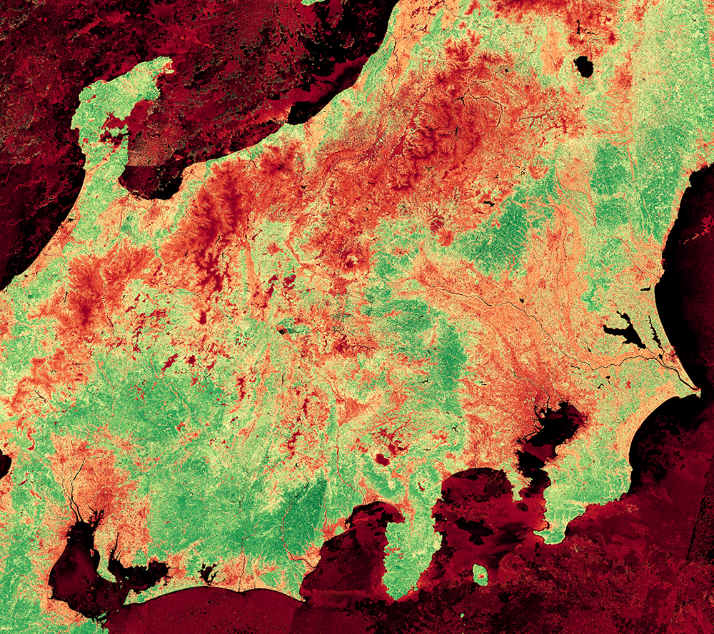 120 m mosaic NDVI