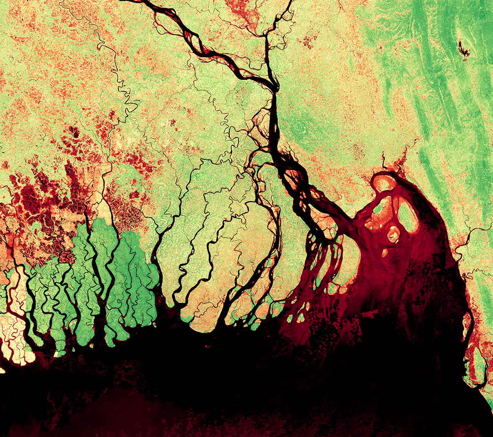 120 m mosaic NDVI